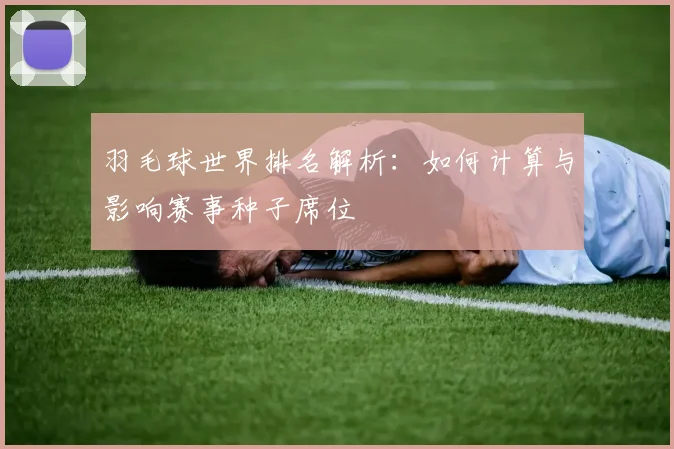 羽毛球世界排名解析：如何计算与影响赛事种子席位