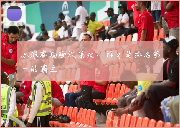 冰球赛场硬汉集结,谁才是排名第一的霸主