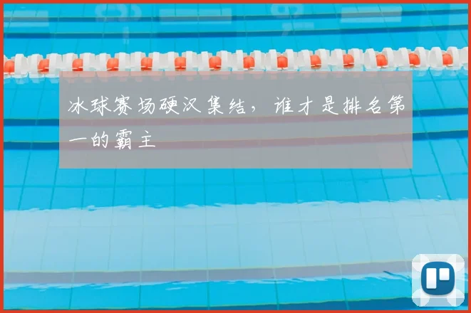 冰球赛场硬汉集结,谁才是排名第一的霸主