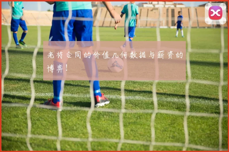 老将合同的价值几何数据与薪资的博弈！